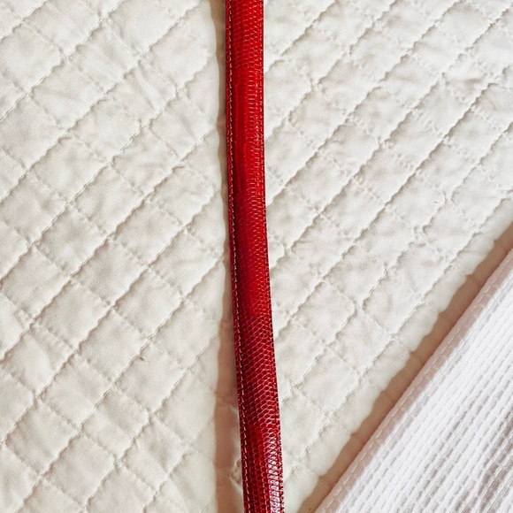 MCM- Lizard Hip Belt - Picture 7 of 14